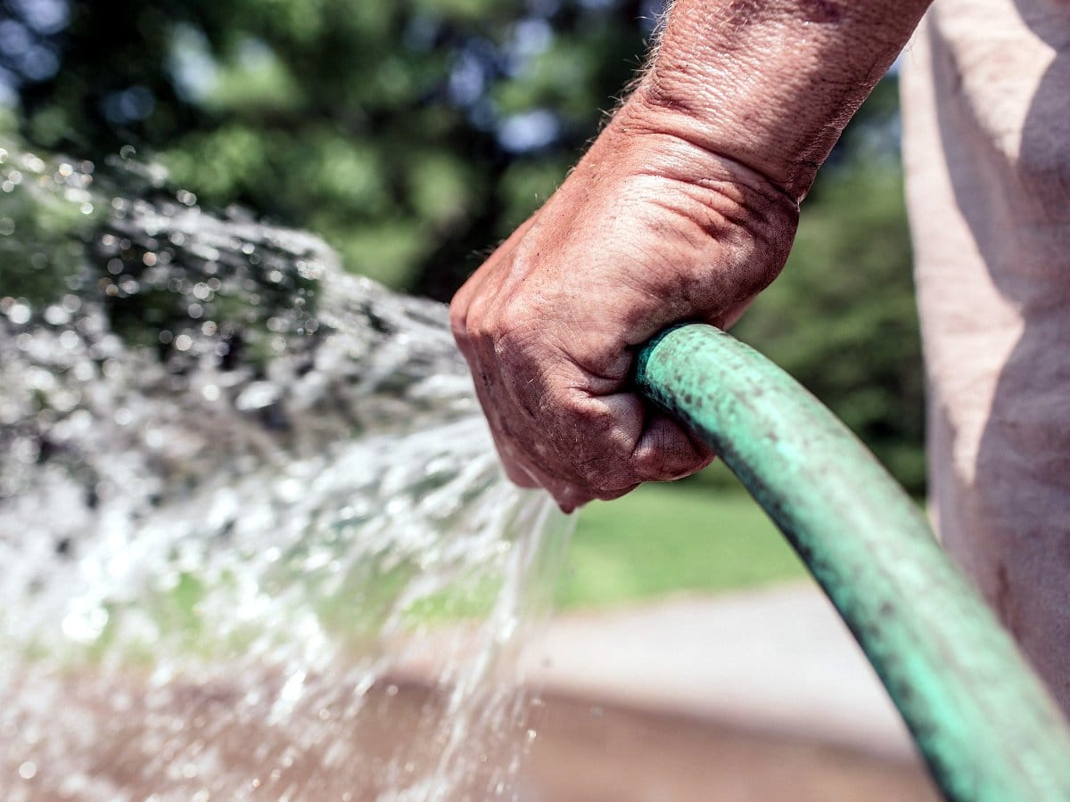 basta zalivanje pixabay RzanMguire