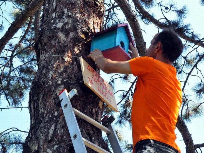 kucice za ptice foto lj m