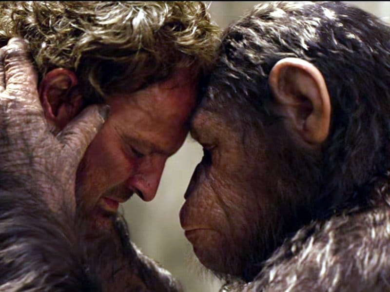 Planeta majmuna 3 foto print screen youtube