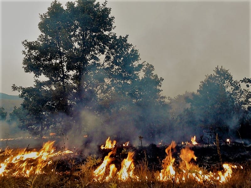 pozar foto aleksandar kostic