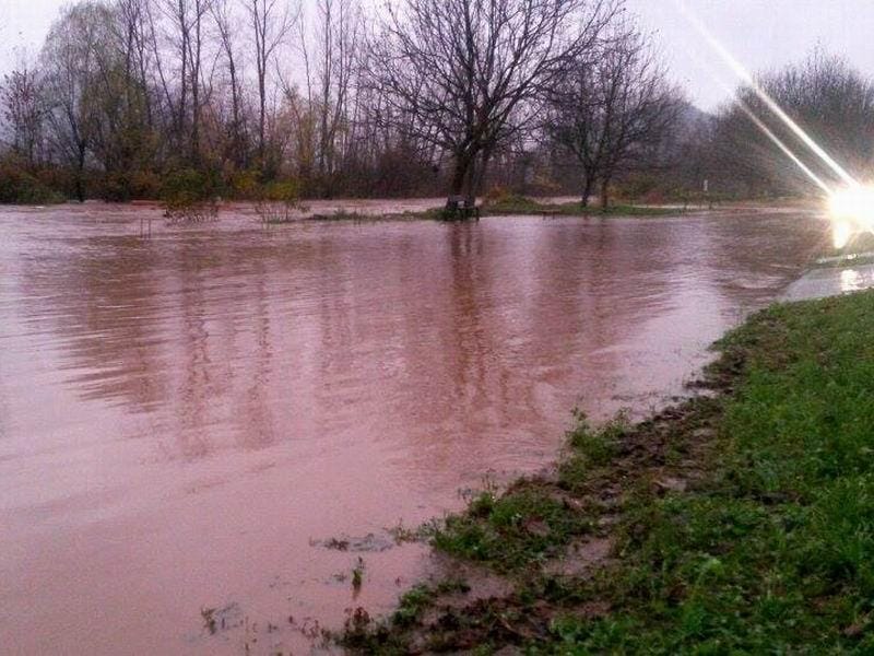 Ribolovci cepaju dozvole zbog zagađenosti Južne Morave 8 juznamorava