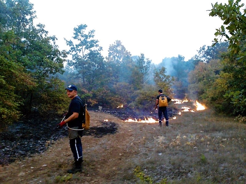 pozar svrljig foto aleksandar kostic