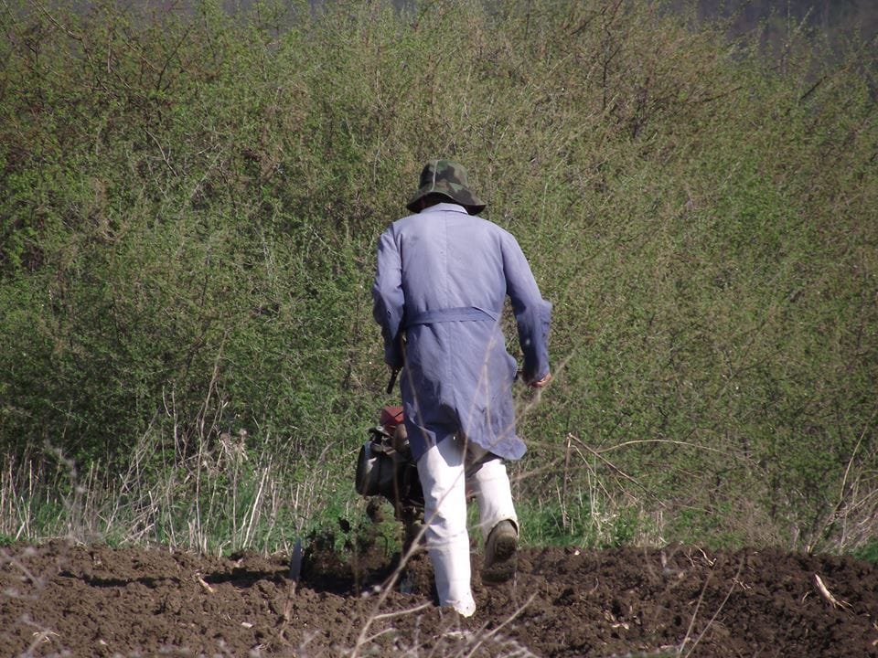 poljoprivreda foto a k