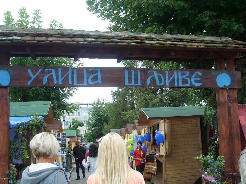 arhiva dani sljive foto lj m