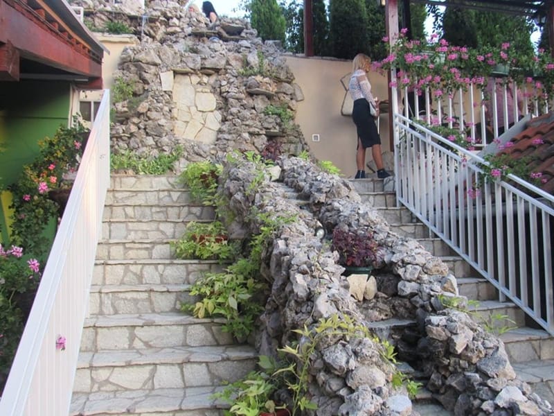 dvoriste,-cvetanovic