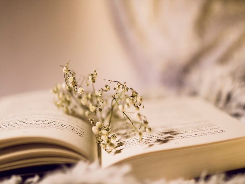 Književni konkurs “Studentsko pero” otvoren za prijave 1 knjizevni konkurs ilustracija flickr Magda K