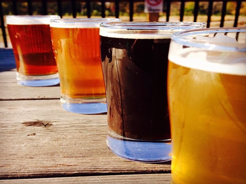 pivo 3 flickr regan76