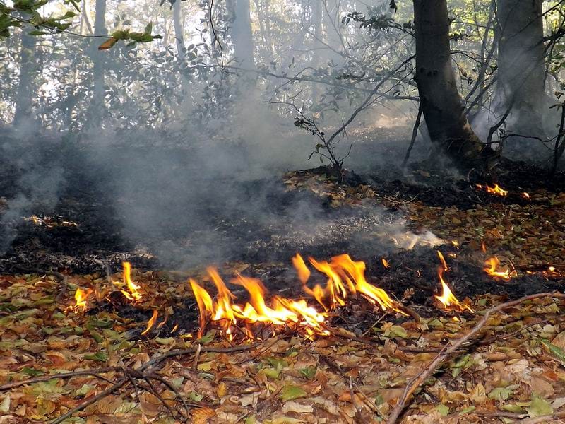 pozar foto aleksandar kostic