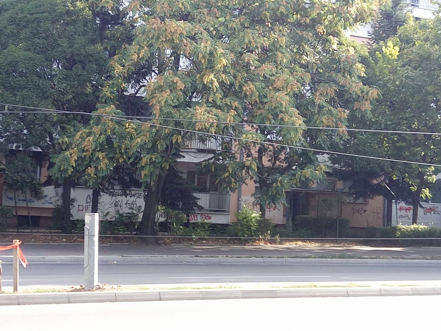 bandera nikola markovic