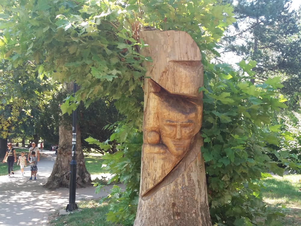 tesla stablo foto mbrankovic