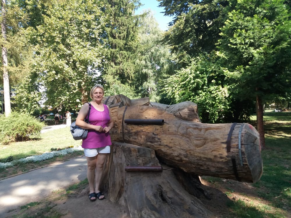 stablo-sokobanja-foto-mbrankovic