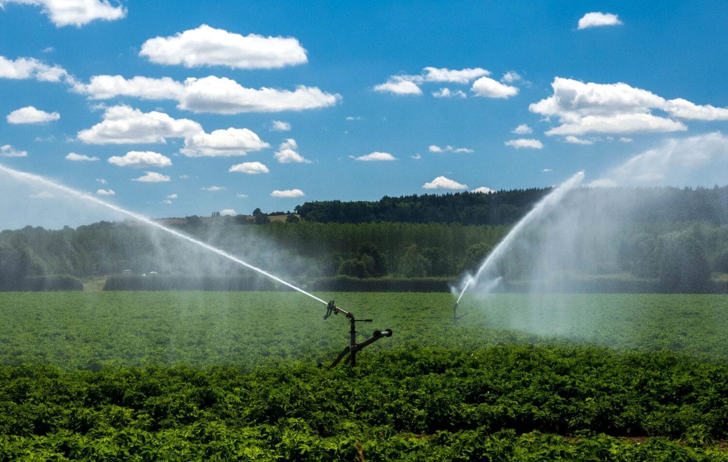 Navodnjavanje flickr Mark Jones scaled