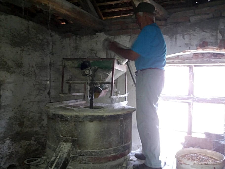 vitomir vodenicar foto mbrankovic