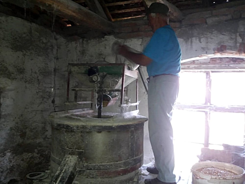 vitomir vodenicar foto mbrankovic