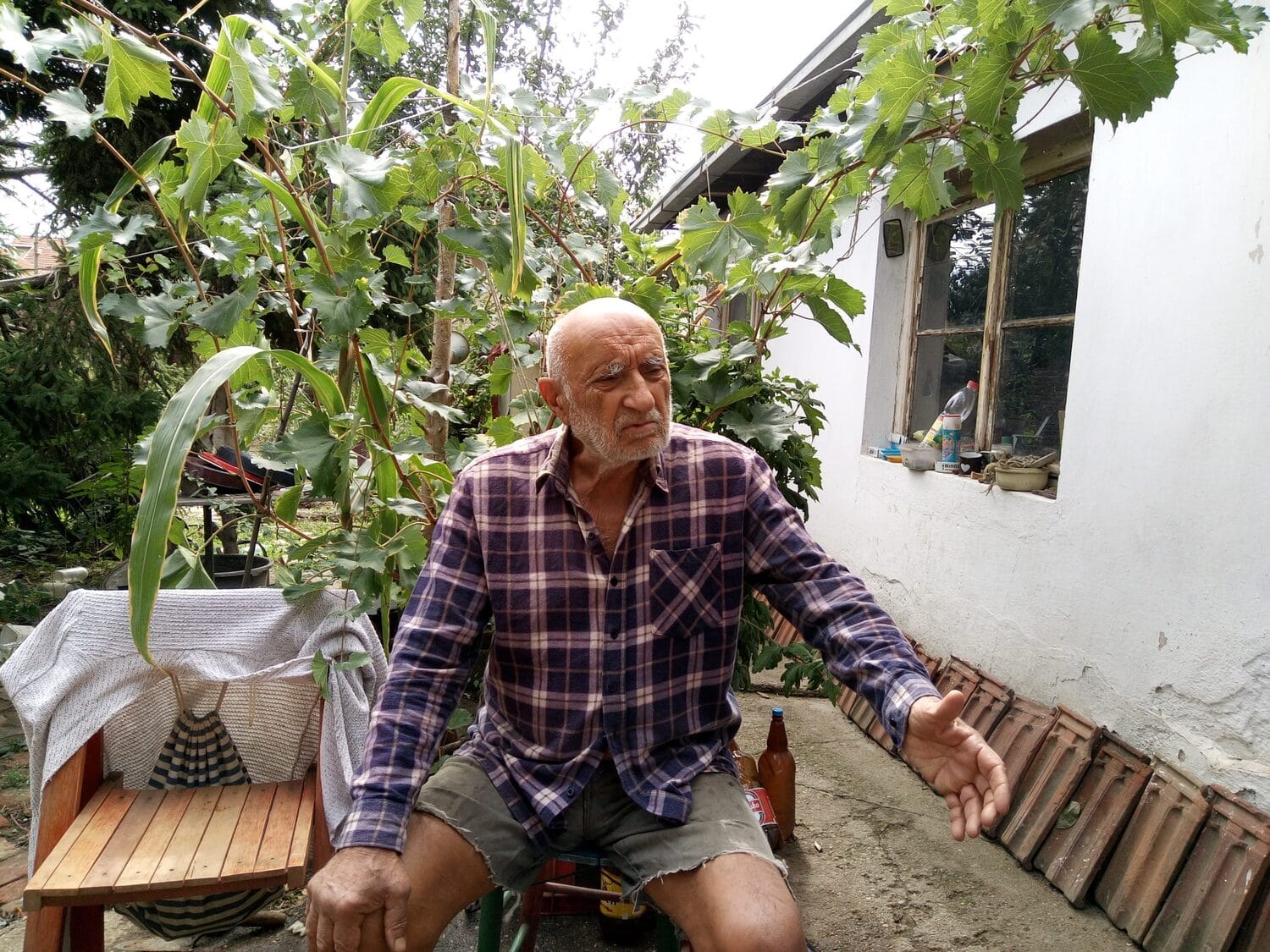 1Lisica foto stefan markovic scaled