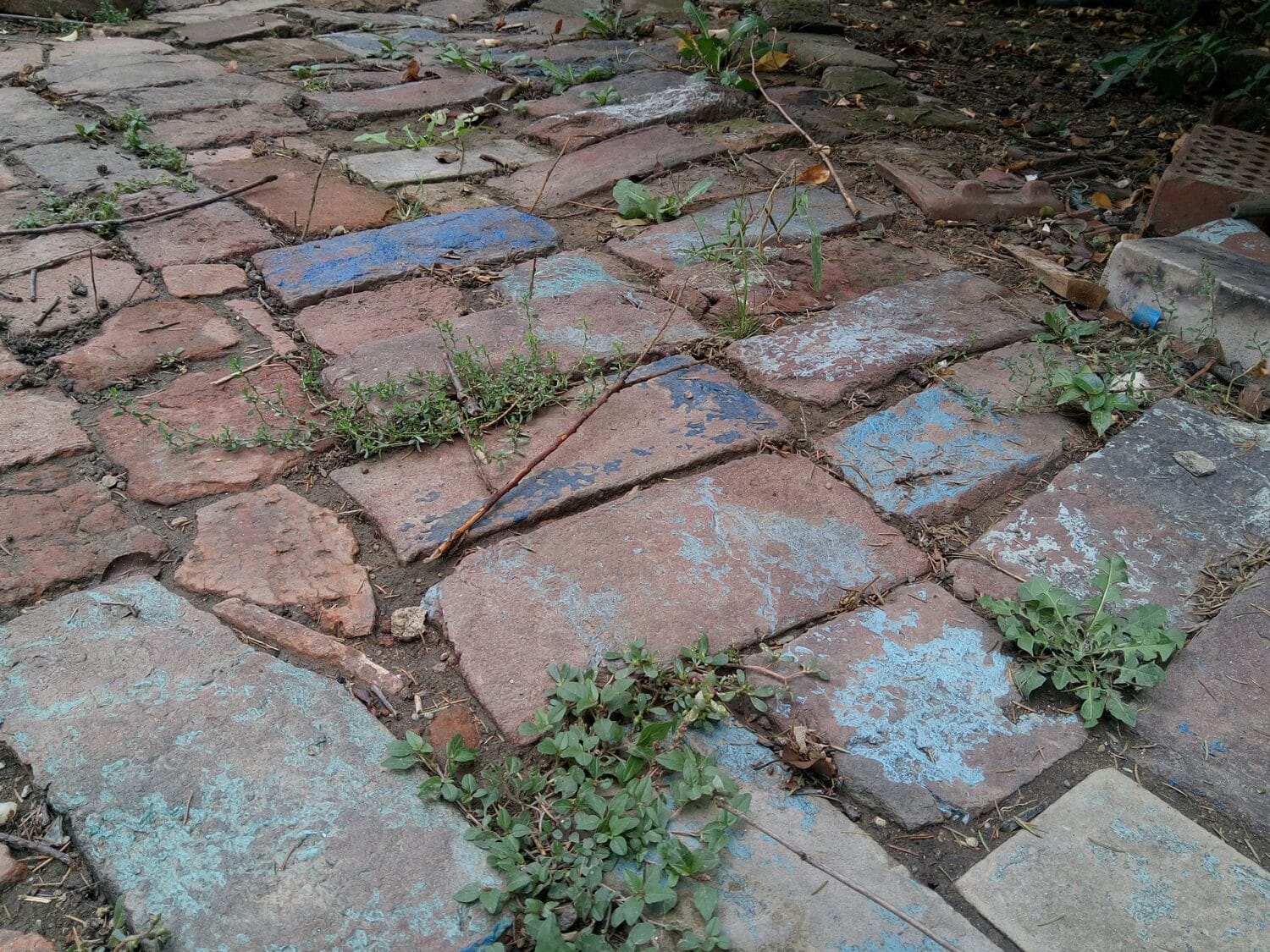 5 staza foto stefan markovic scaled