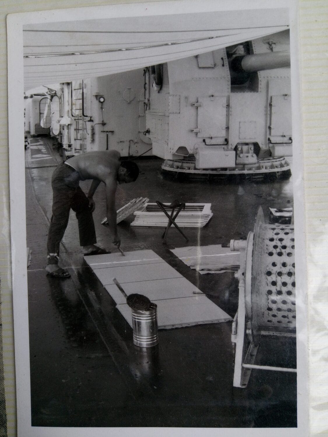 3Lisica na brodu foto stefan markovic scaled