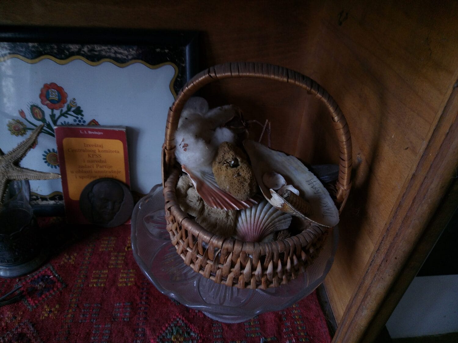 koljka foto stefan markovic scaled