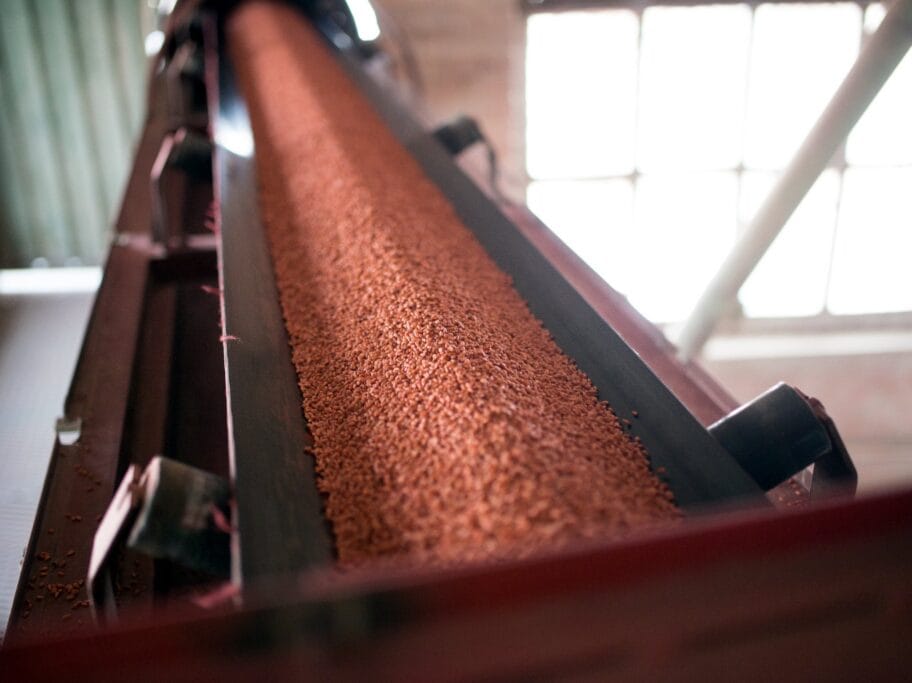 Seme pr tekst foto Best seeds products