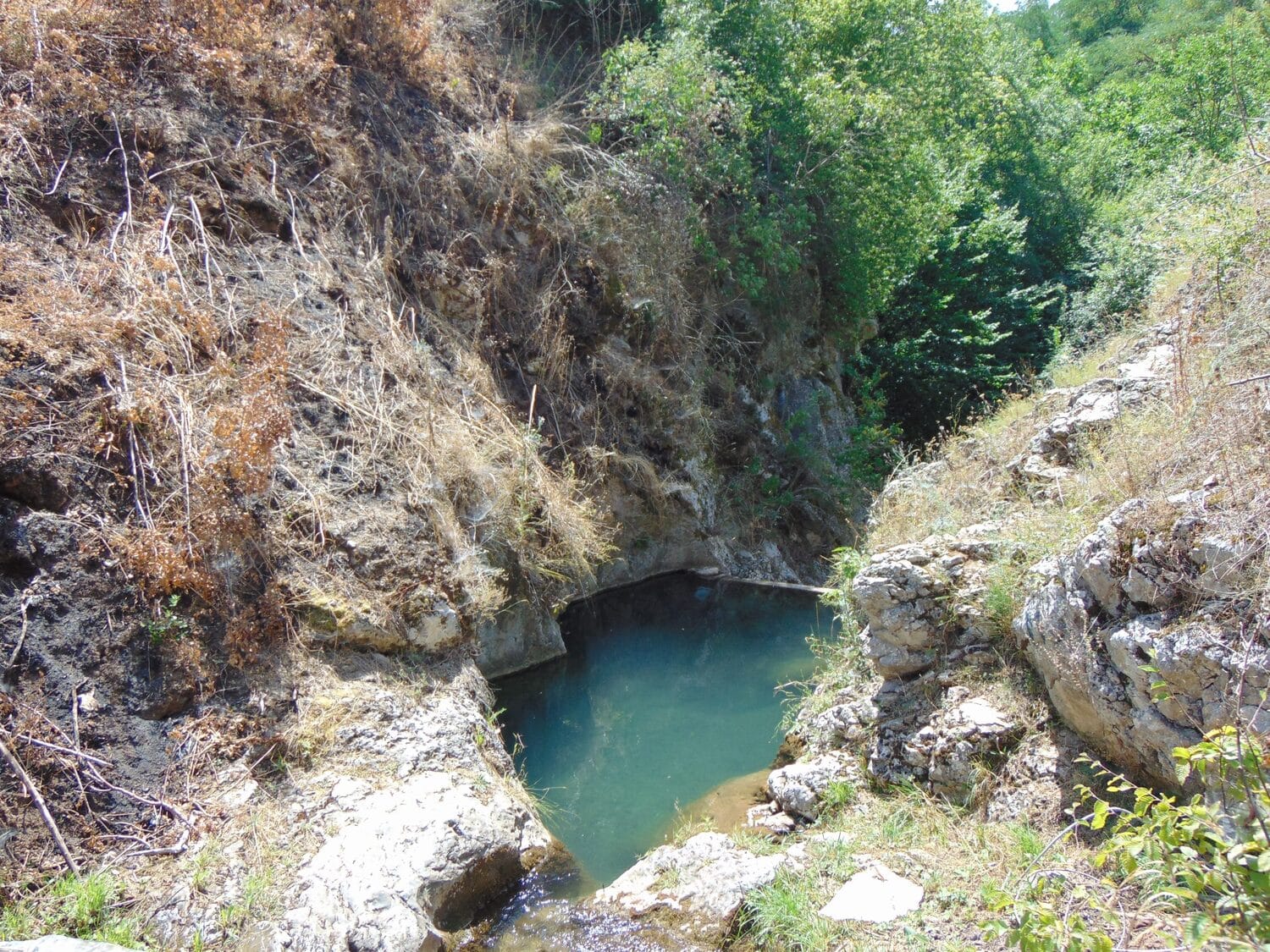 izvor-buk-foto-milica-stamenkovic-(3)