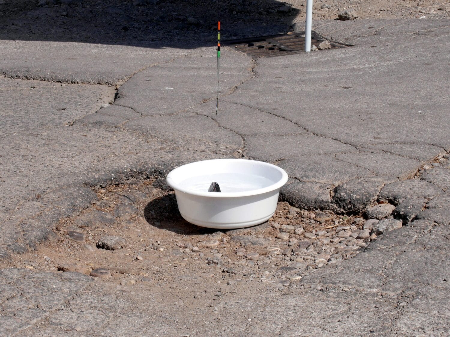 Dobar ulov foto B R scaled