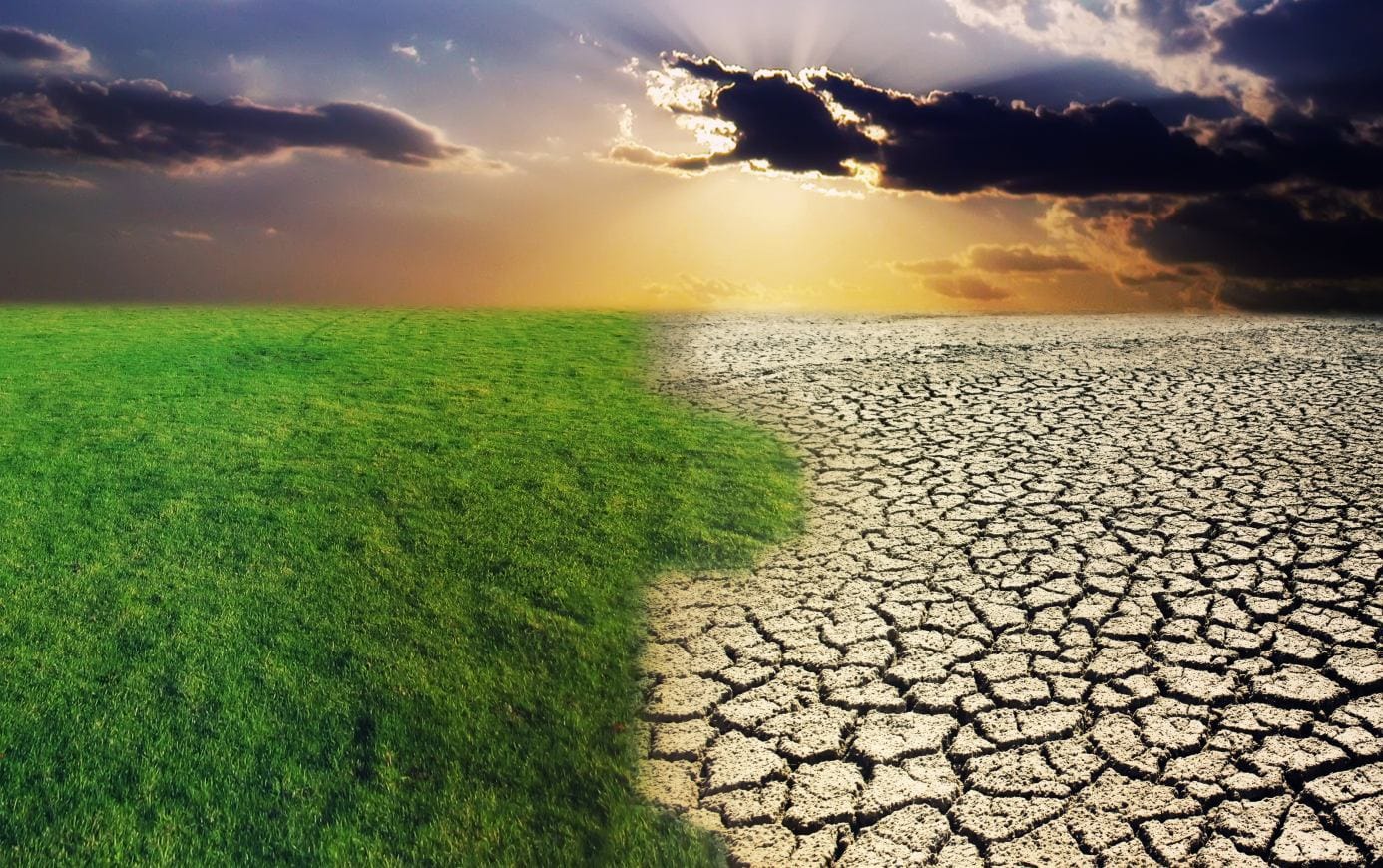 Pošumljavanje-Sahare