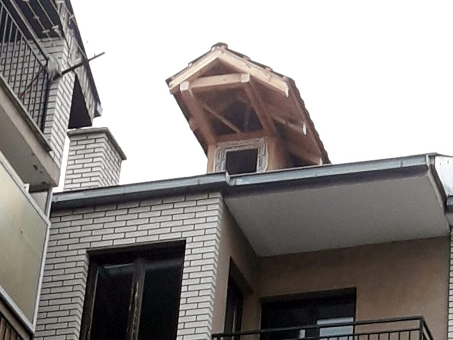 golubarnik foto citalac