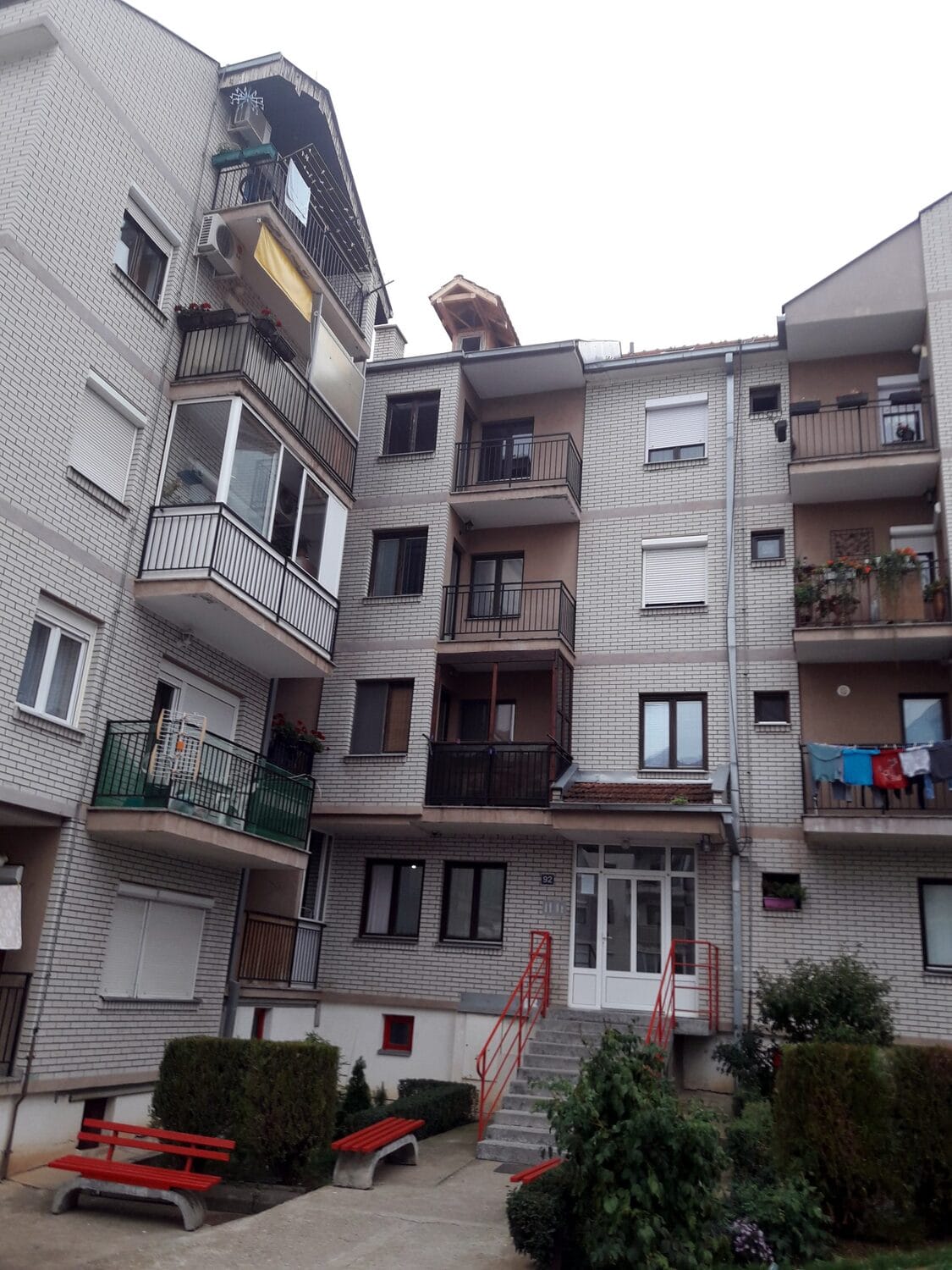 golubarnik 2 foto citalac scaled