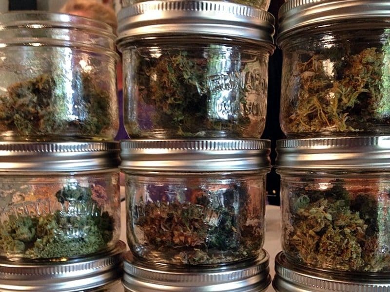 droga u teglicama foto Flickr Cannabis Culture