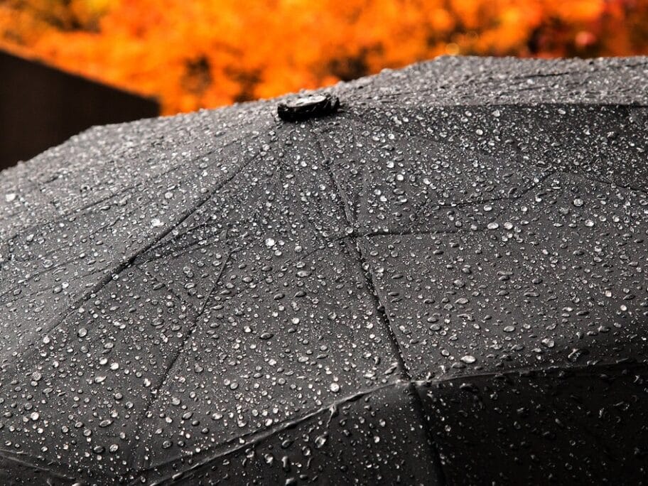 30623540545 83b07c8a08 b Cropped