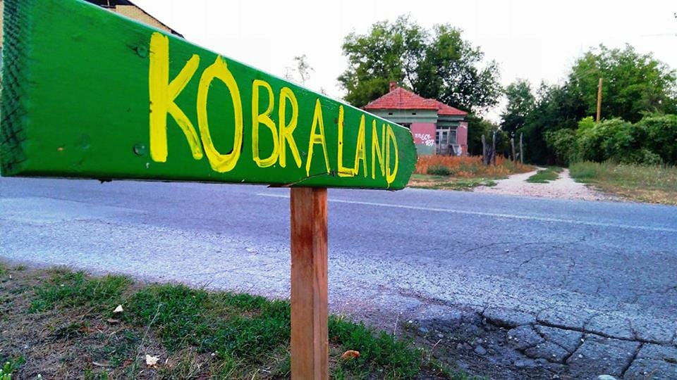 kobre2-foto-ivana-blagojevic