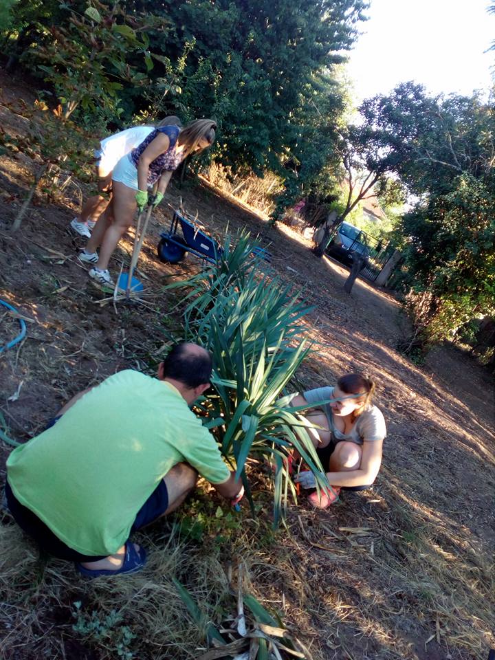 kobre3-foto-ivana-blagojevic