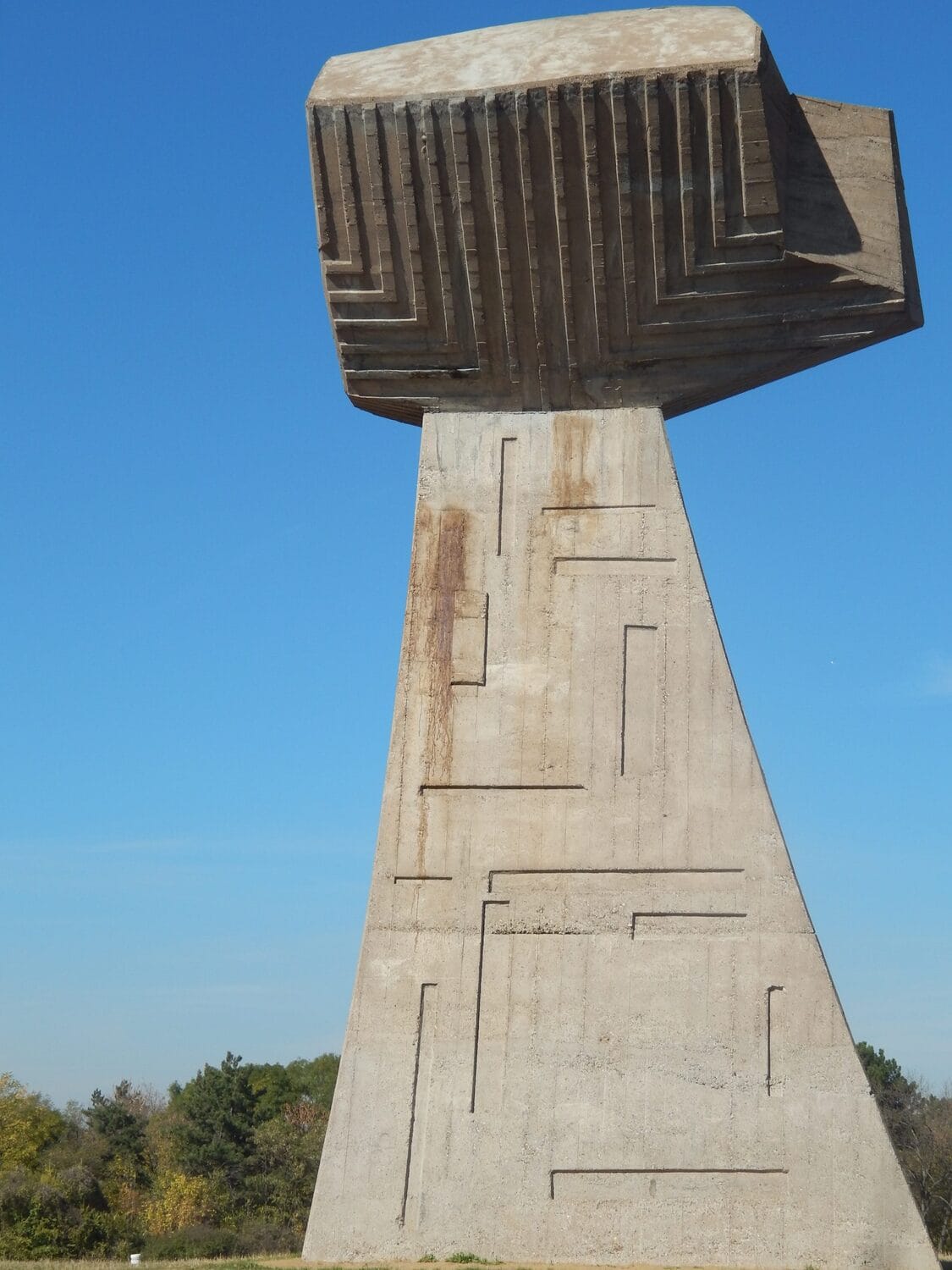 Pesnica rdja foto Dalibor Milojkovic scaled