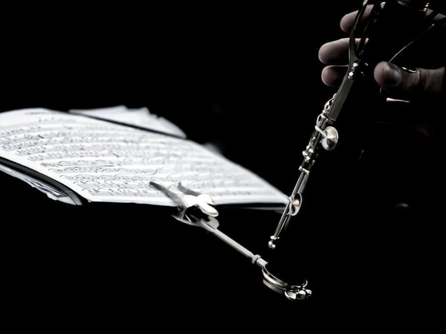 Koncert flauta foto Flickr Hernan Pinera