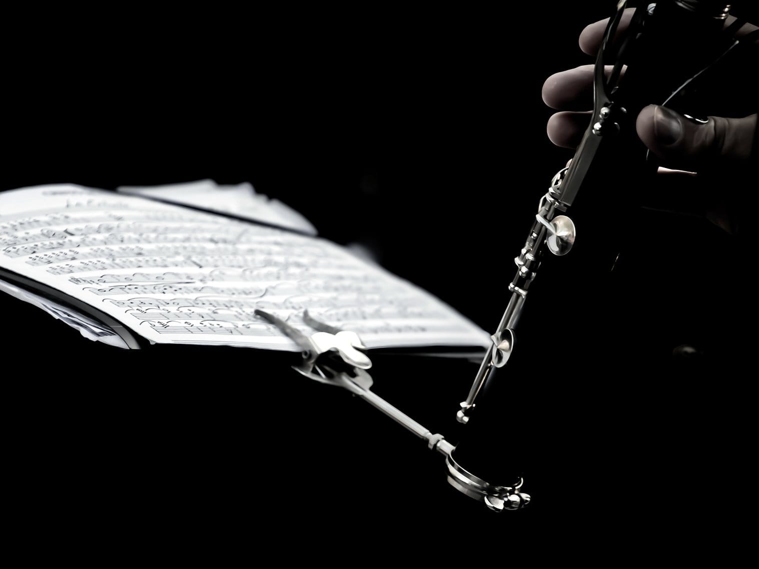 Koncert flauta foto Flickr Hernan Pinera