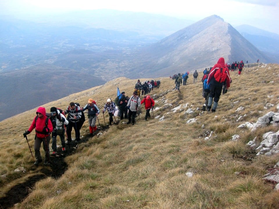 Zeleznicar-3-foto-arhiva-Zeleznicar