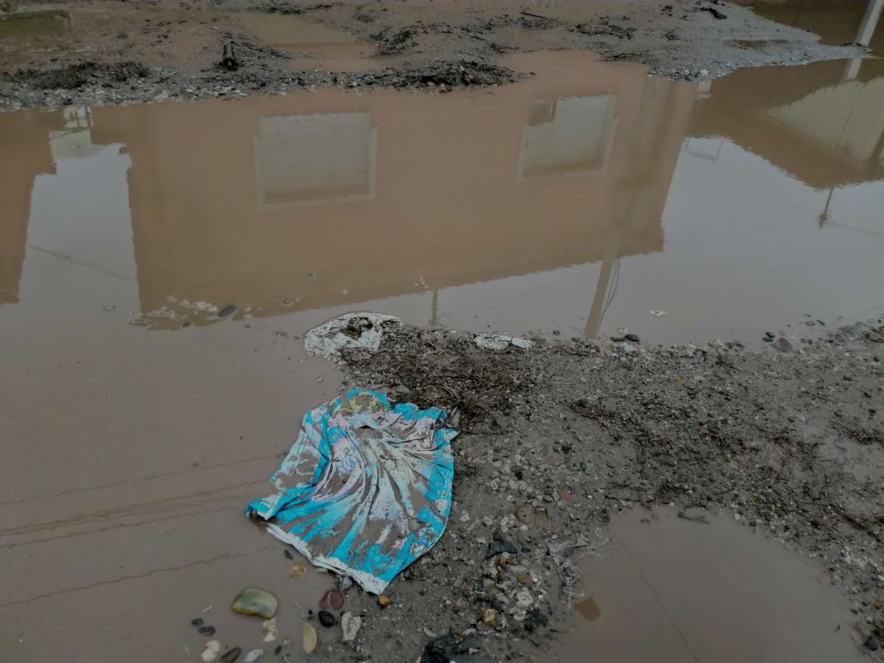 Daničićeva-ulica-novo2;-foto:-D.-M