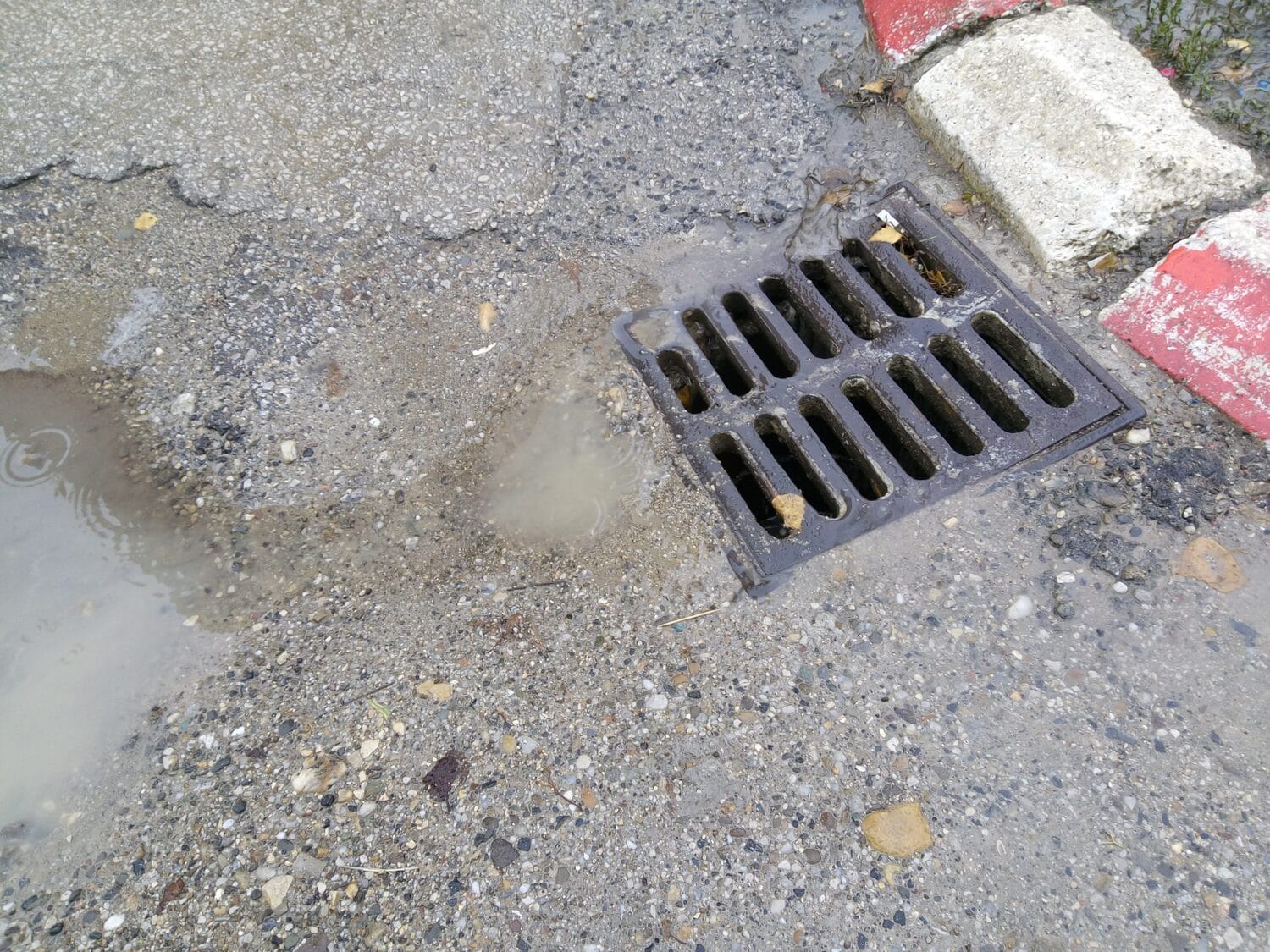 slivnik foto stefan markovic scaled