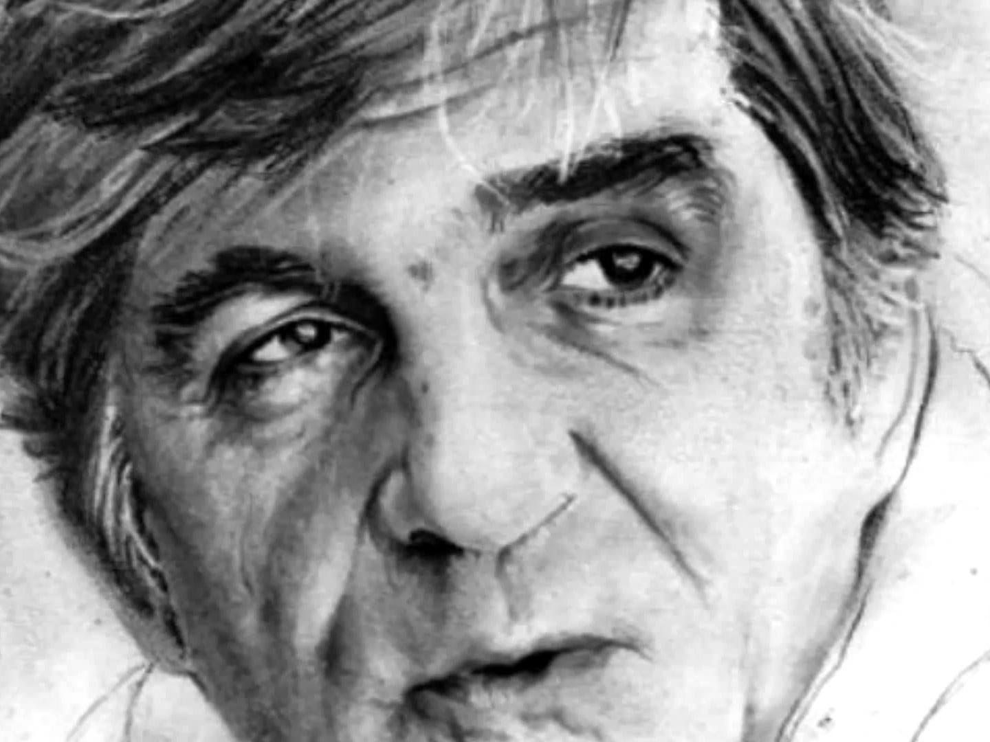 Nepovratna pesma 1 miroslav mika antic