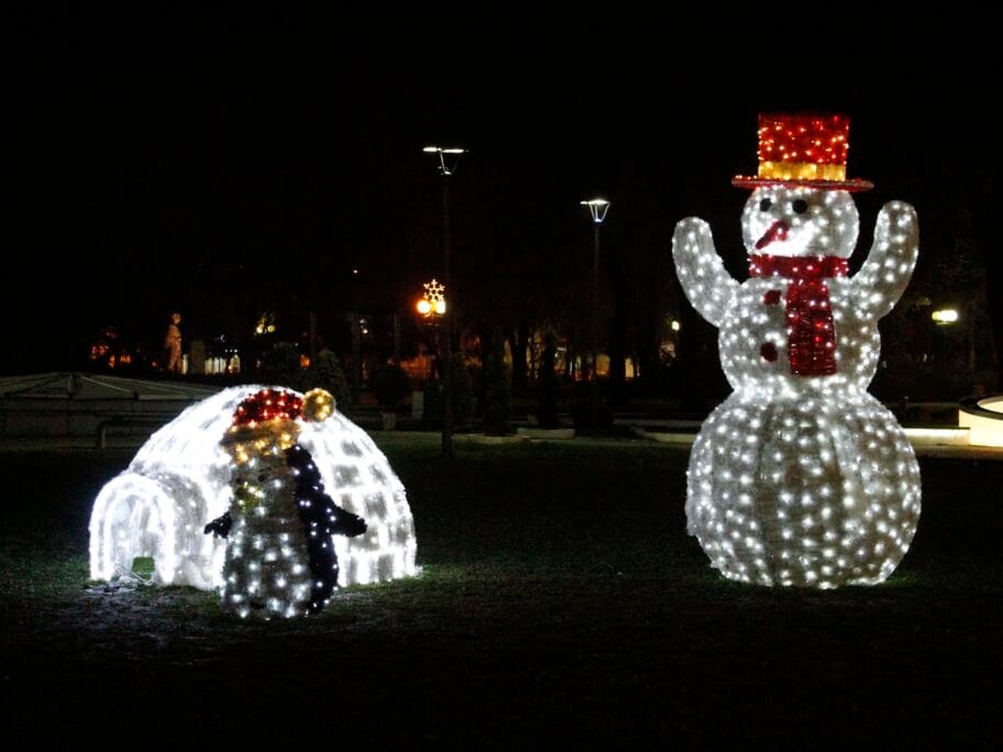 Za novogodišnju dekoraciju i nove 3D figure Leskovčani plaćaju više od 2 miliona dinara 7 novogodisnja dekoracija