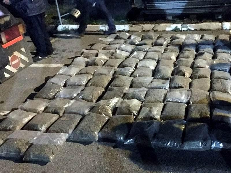 800x600 zaplena marihuane foto mup