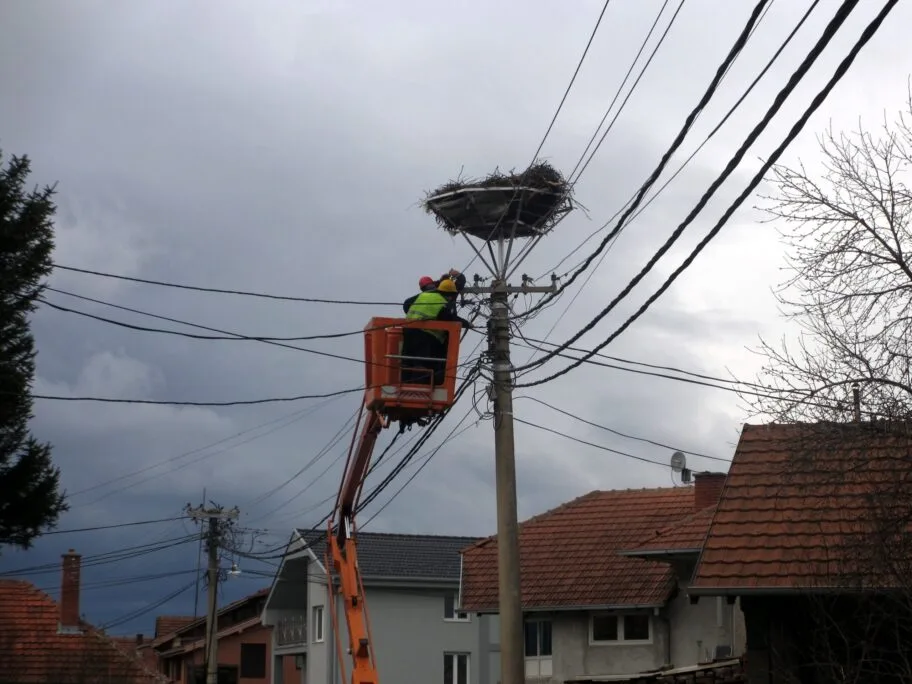 Gnezdo rode Medosevac foto Juzne vesti Milica Jovanovic scaled