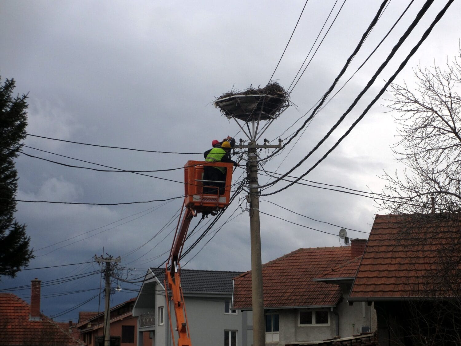 Rode u Medoševcu dobile sigurniju “kuću” 1 Gnezdo rode Medosevac foto Juzne vesti Milica Jovanovic scaled