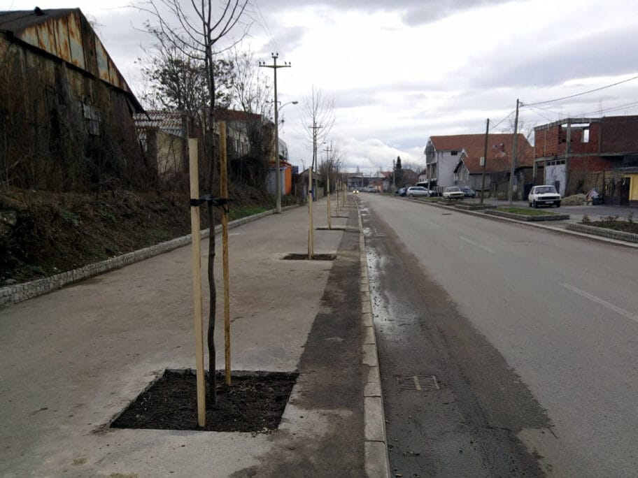 drvored sarajevska foto a s jv