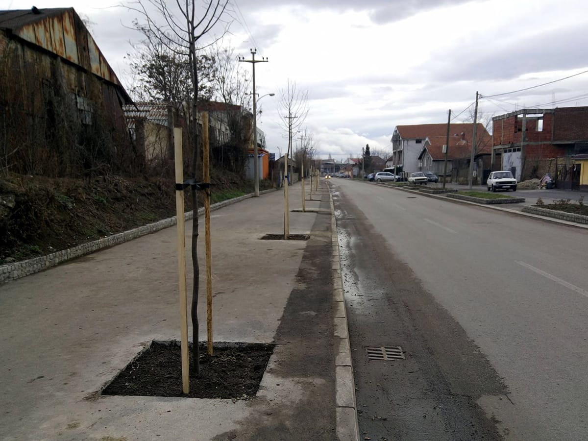 drvored sarajevska foto a s jv