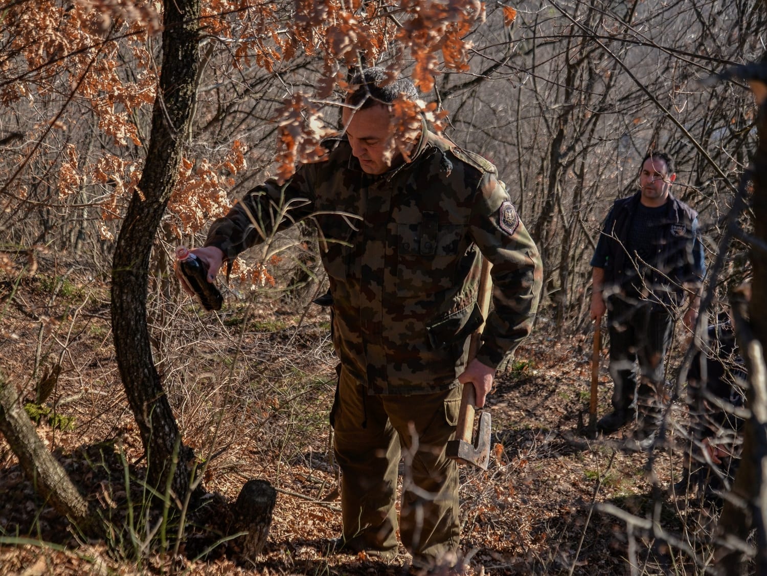 Badnjak obicaji foto Vanja Keser