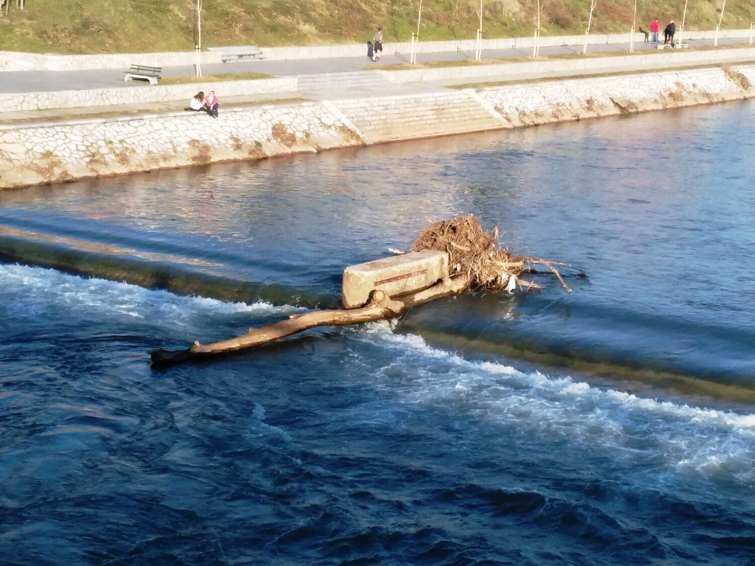 Stablo u Nisavi foto citalac scaled