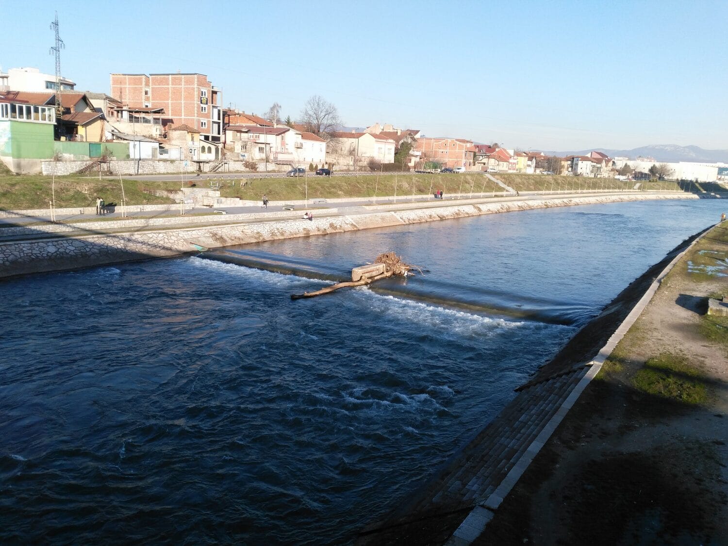 Stablo zaglavljeno u Nisavi foto citalac scaled