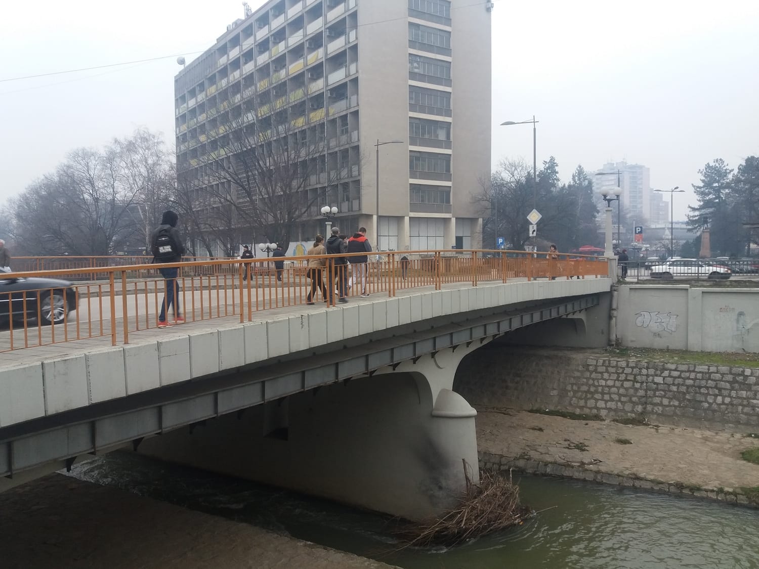 Niko neće da očisti granje koje se danima gomila ispod mosta na Veternici 1 Nagomilano granje januar 2018 foto Citalac