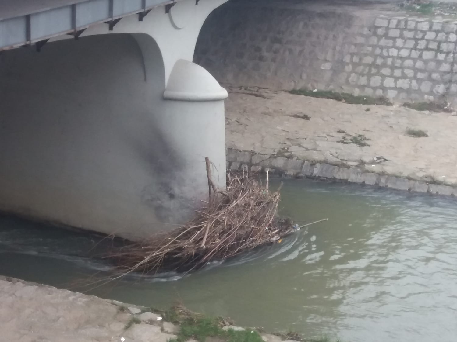 Granje 2 januar 2018 foto Citalac